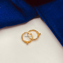 Load image into Gallery viewer, Hoop Earrings