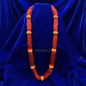 Naugedi (Red)